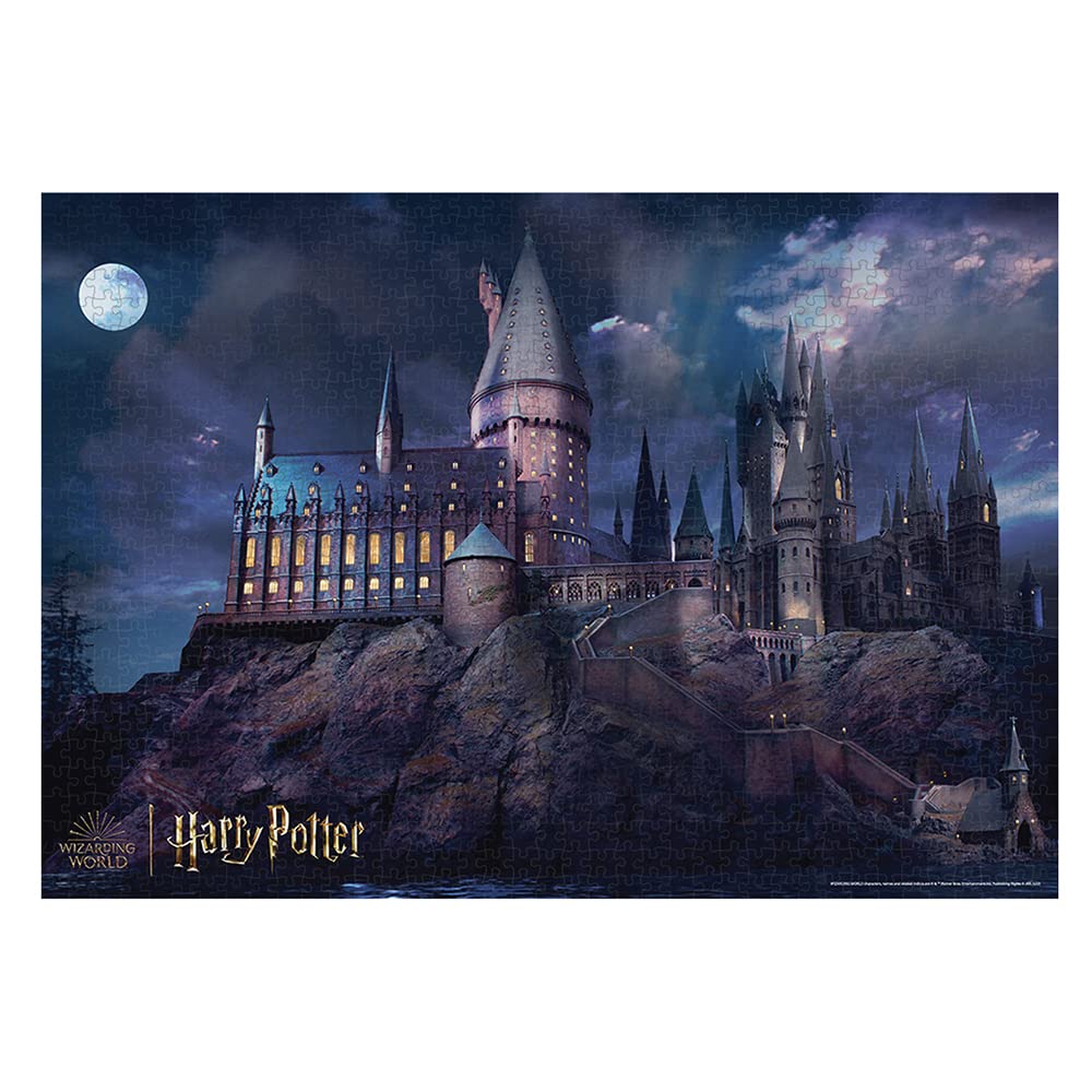 TENYO  B1000-821 Jigsaw Puzzle Harry Potter Wizarding World  Glow In The Dark  1000 Pieces